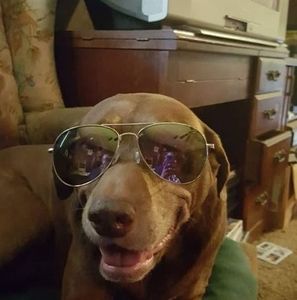 Meet your Posher, Edna